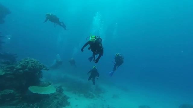 Scuba Diving The Great Barrier Reef. смотреть онлайн