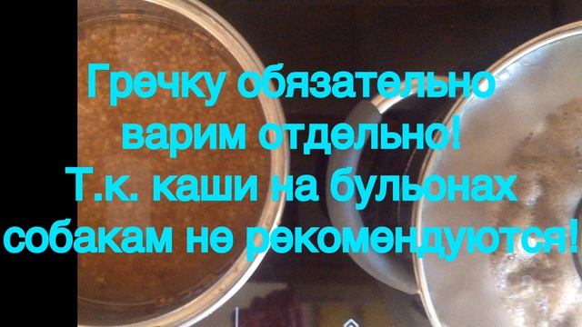 Чем я кормлю своих собачек. Натуралка. Меню #1 смотреть онлайн