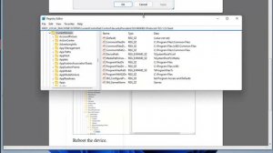 Fix A Fatal Error Occurred While Creating A TLS Client Credential 10013 on Windows