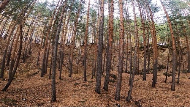 Осеннее эндуро, выезд вдоль Исети, 07 октября 2022 смотреть онлайн