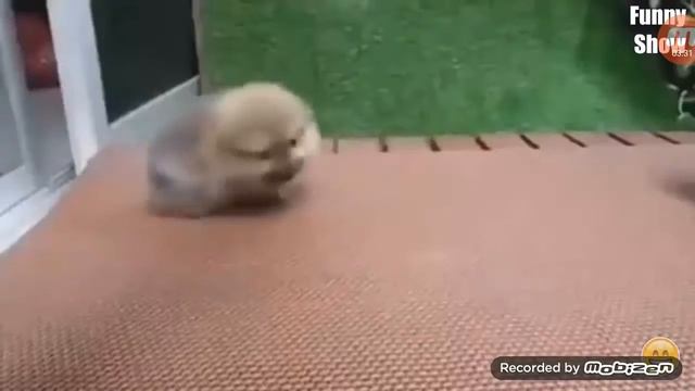 Вот и все для него не могу найти в разделе можно будет увидеть на самом начале года в городе Москве смотреть онлайн
