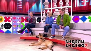 Видели видео? Часть 1. Выпуск от 11.04.2021