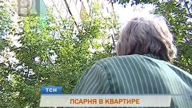 ПСАРНЯ В КВАРТИРЕ смотреть онлайн