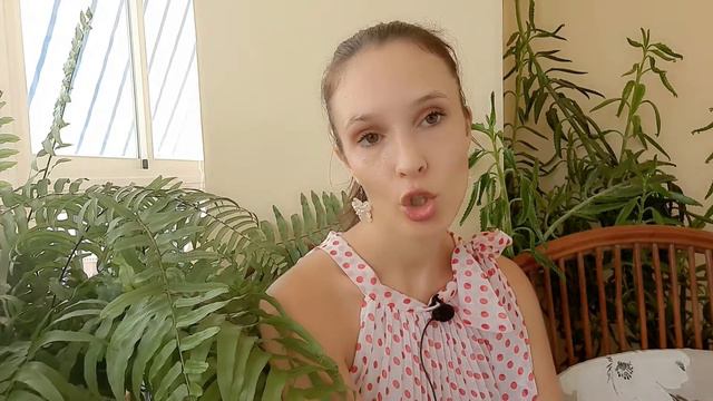 ЕЖЕДНЕВНЫЕ НОВОСТИ ИСПАНИИ 21.08.2020 #испания #новостииспании #испаниясегодня #актуальновиспании смотреть онлайн