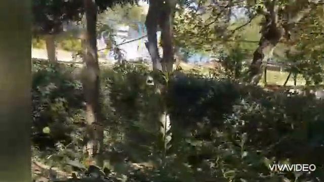 ЮКО г Ленгер Тогус