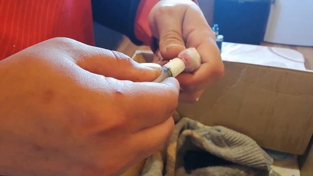 Крольчиха отказалась от крольчат. Как выкормить крольчат без крольчихи ? смотреть онлайн