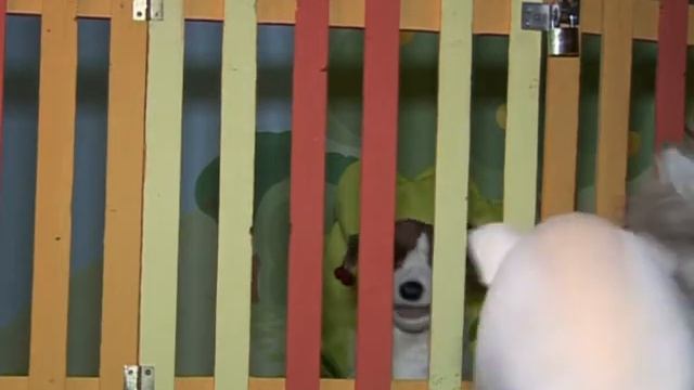 04 МАМА ДОМА, дом.театр.Когда захочу-буду! смотреть онлайн