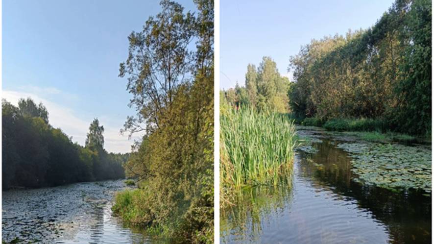 Июль - макушка лета | На даче | У реки смотреть онлайн