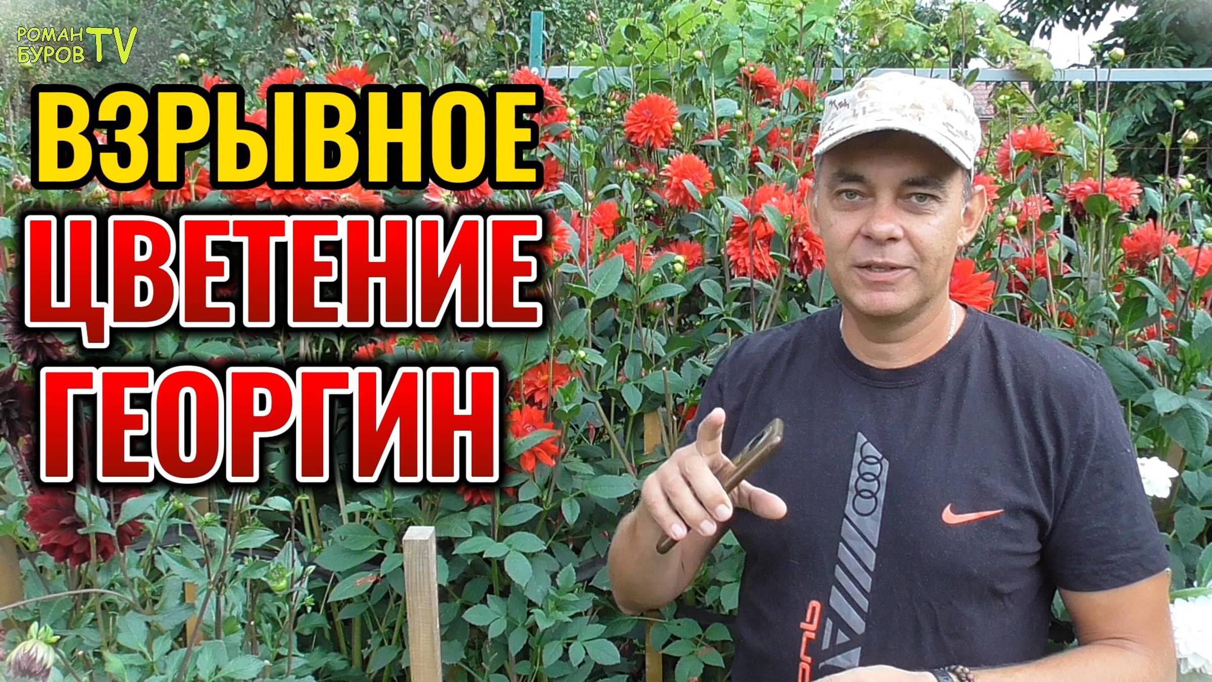 🌺 Георгины цветут до самых заморозков?! Это реально с этой подкормкой! 🌸 Прощай, скудное цветение! смотреть онлайн