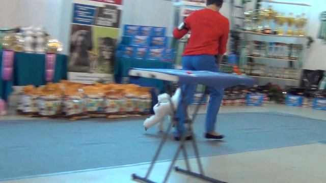 206 ПК ПУДЕЛЕЙ Челябинск 2018 Элегия стиля мой первый биткоин смотреть онлайн