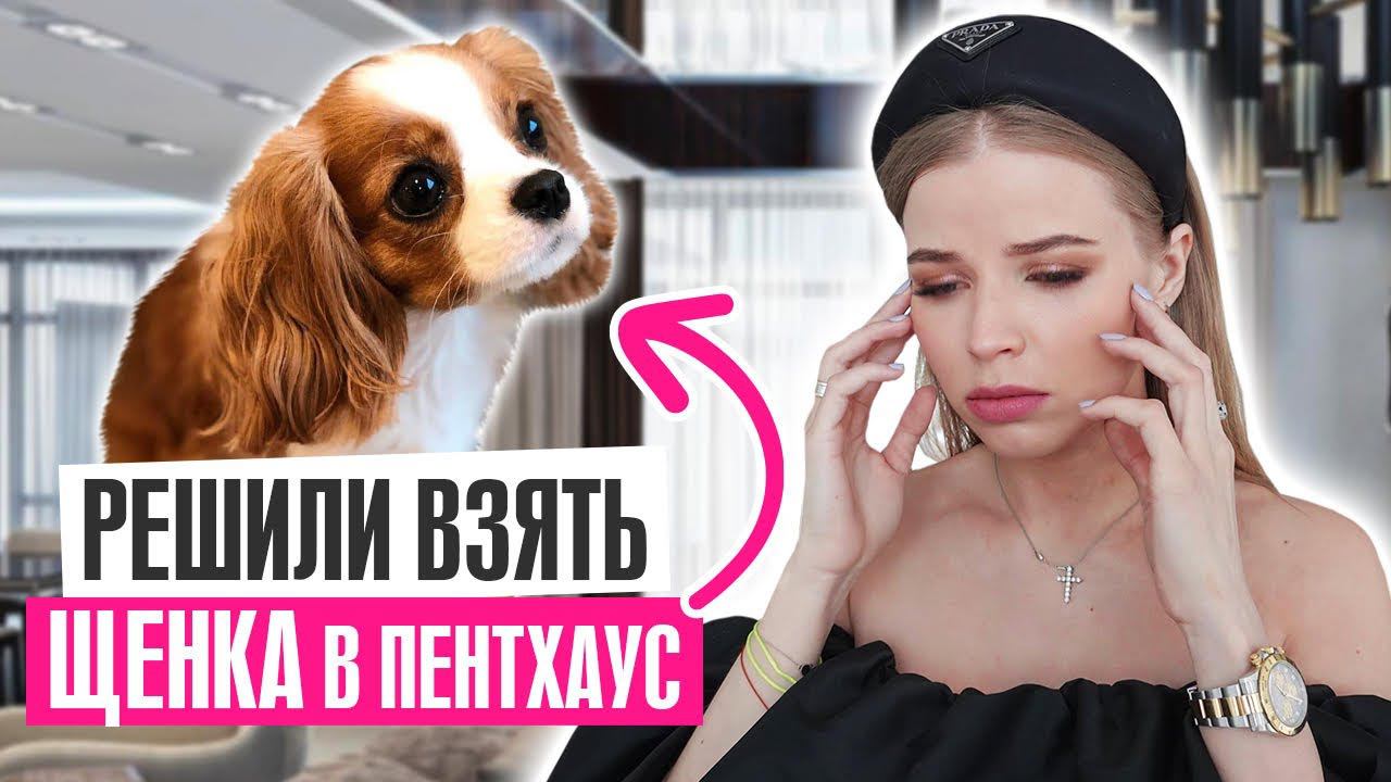 ПОПЫТКА ВЗЯТЬ ЩЕНКА в НАШ ПЕНТХАУС ! смотреть онлайн