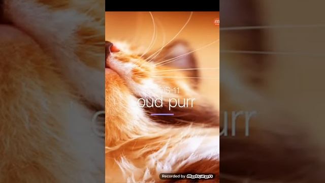 Progressbar XII и BarOS XII смотреть онлайн