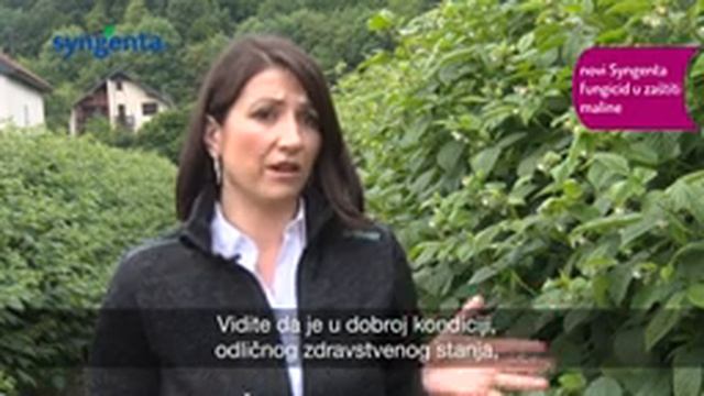 Maksimalni potencijal roda maline uz dobar kvalitet: QUADRIS® TOP novi Syngenta fungicid смотреть онлайн