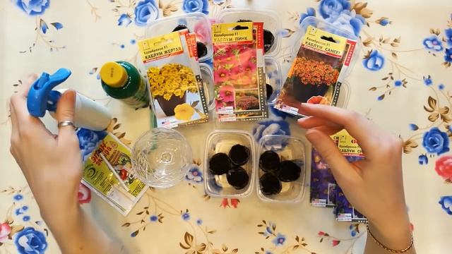 Калибрахоа,как вырастить красивый куст.Выращиваем правильно.1посев семян смотреть онлайн