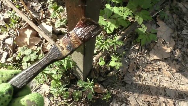 На пасеке рыжие лесные муравьи, что делать смотреть онлайн