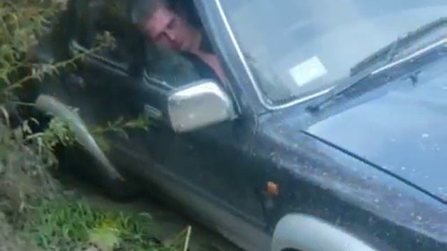 Мурюк золотой китат смотреть онлайн