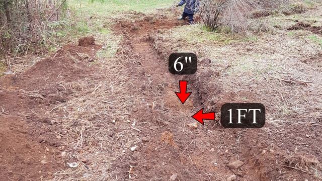 DIY CHICKEN COOP BUILD - Chicken Coop Build Ideas!