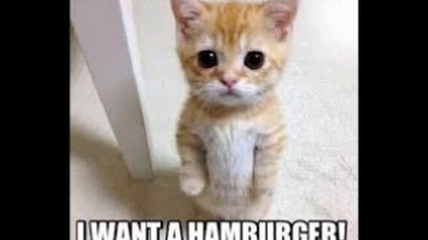 Hamburger Cheeseburger Big Mac Whopper 12 hours (EARRAPE)