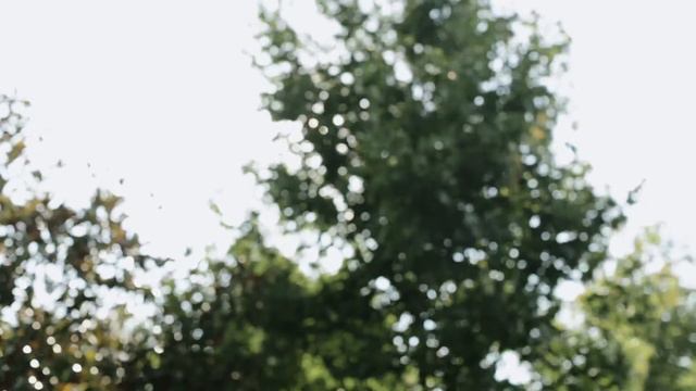 Louisville Wedding Videographer | Sabrina + Jack | Chandler Rose Photography