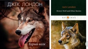 Джек Лондон "Бурый волк" (Перевод М. Богословской)