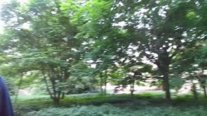 Санаторий Энергия