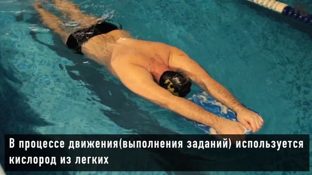 POPOV.SWIM