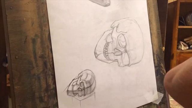 Рисую черепа | художка | speed paint смотреть онлайн