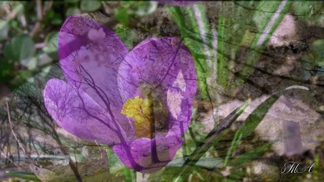 ?? Музыка Весны и Надежды! The Music of Spring and Hope! смотреть онлайн