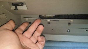 перенос эбу калина