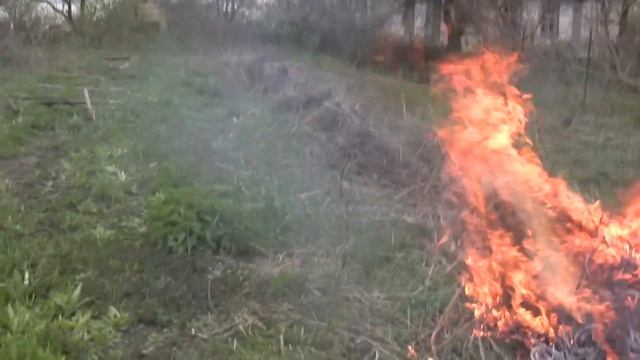 Убрал огуречные шпалеры. Буду рассаживать тут малину или голосемянку смотреть онлайн