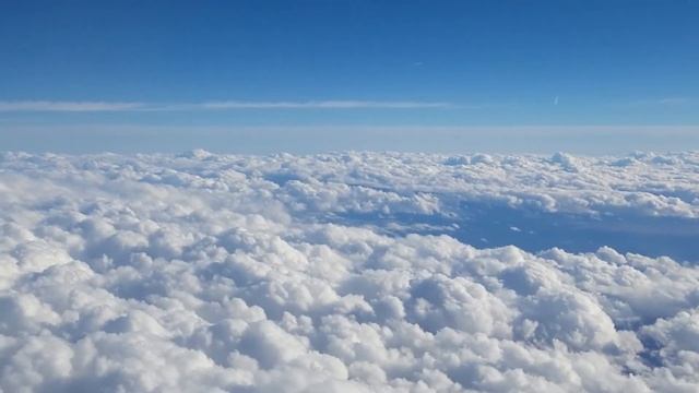 Цените близких и родных(стих) смотреть онлайн