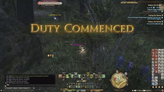 FFXIV Botanist Leves Level 20 - Gridania, South Shroud - A Realm Reborn смотреть онлайн