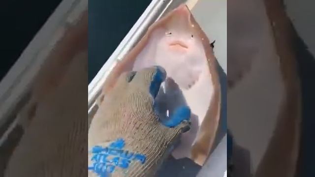 улыбка ската смотреть онлайн