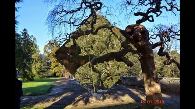 VILLA MEDICIA POGGIO A CAIANO(PO) смотреть онлайн