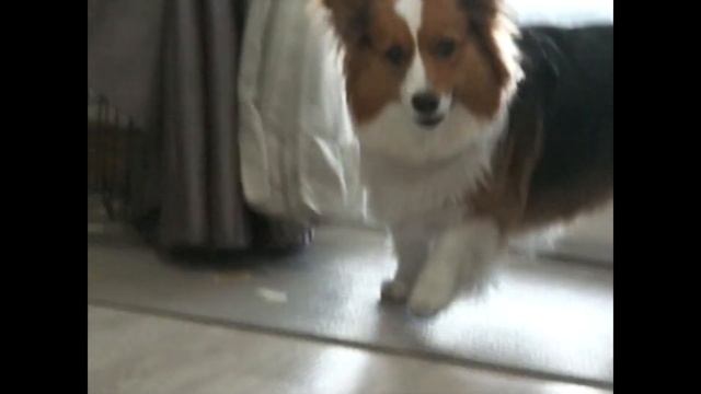 [RETROCAM ?] Unyong & Sehar смотреть онлайн