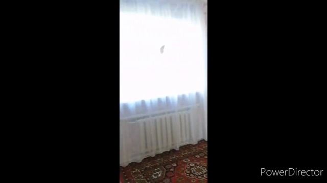 Продается дом в п. Бобровский Ханты-мансийский район смотреть онлайн