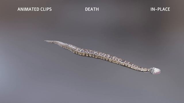 Animated Game Ready Southern African Rock Python 3D Model смотреть онлайн