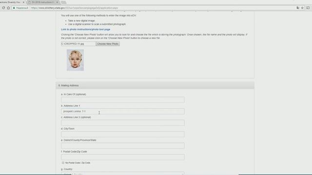 Как заполнить Green Card DV Lottery 2019 (DV-2019) Form DS-5501