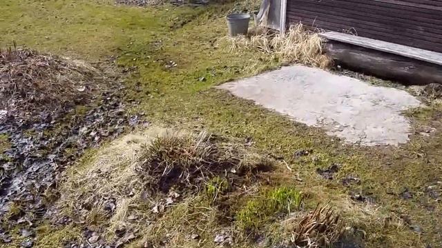 Новая Ропша смотреть онлайн