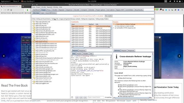 Burpsuite Tutorials - Proxy Tab смотреть онлайн