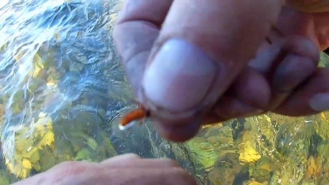 Рыбалка на реке Бия ☝. Ловля хариуса на удочку. смотреть онлайн