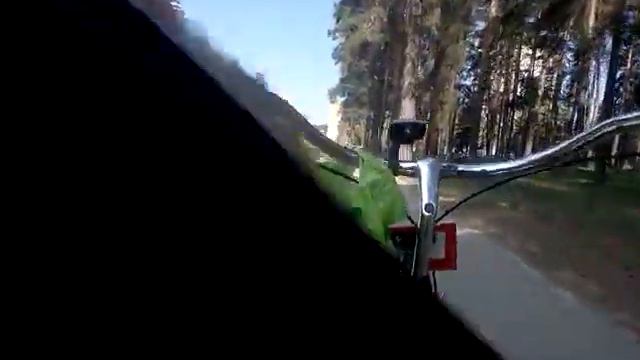 -стой ты куда ???,там горка очень крутая )- чай не круче меня )))) смотреть онлайн