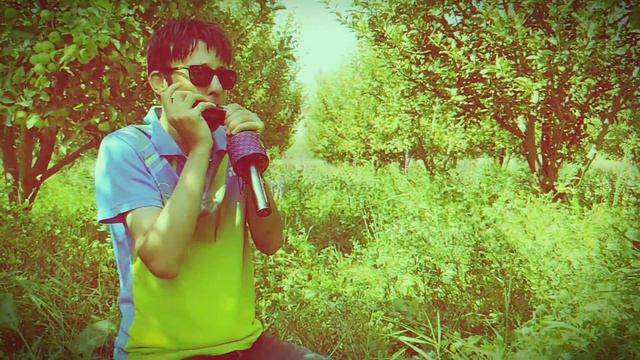 Lonely Shepherd harmonica cover смотреть онлайн