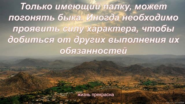 Интересные пословицы и поговорки народа Индии смотреть онлайн