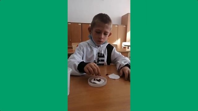Дежурные классы, школа-гимназия №1 г. Саркан смотреть онлайн