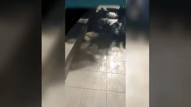 Влог.часть 2.море.Турция.отдых по полной программе... смотреть онлайн