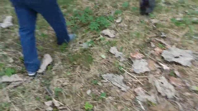 Гуляем с собакой и с дедушкой смотреть онлайн