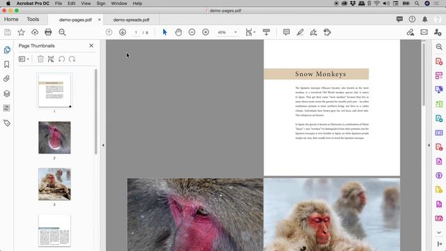 How to Save Spreads to PDF in InDesign (Stick Left & Right Pages Together) смотреть онлайн