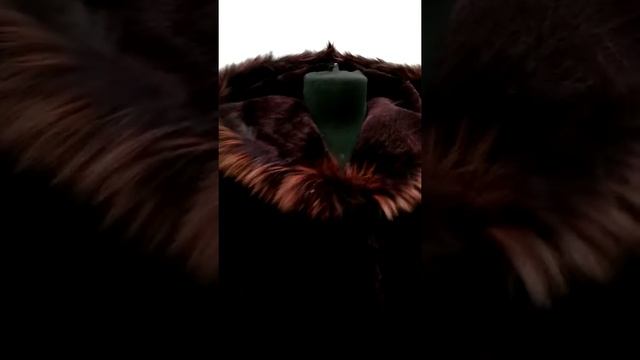 Добротная шуба из бобра с лисьей опушкой смотреть онлайн