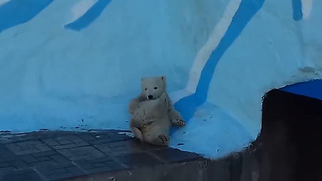 Вкусные лапки смотреть онлайн